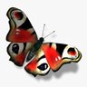 ayşegül eryeşil's profile picture