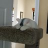 Sly's profile picture