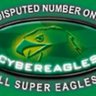 🇳🇬CYBEREAGLES 🇳🇬's profile picture
