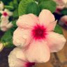 Norah_2 profil fotoğrafı