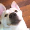 Profilbild von Mabelita