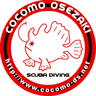 COCOMO大瀬崎's profile picture