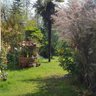 farella profil fotoğrafı