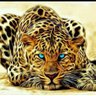 R A M's profile picture