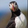 Alain Bivel 💙💛🌻🇪🇺 🇫🇷's profile picture