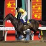 笹川翼 profil fotoğrafı