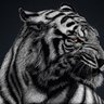 Twin's profile picture