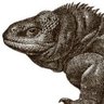 Alex JR's profile picture