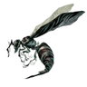 βК【名古屋産】's profile picture
