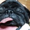 Profilbild von ひるままさき