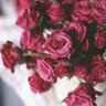 Profilbild von حلـمـ ~