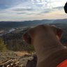 Scoops's profile picture