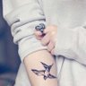 Фото профиля Rawan