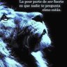 Фото профиля JJ caminante