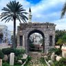 Фото профиля القط  الابيض