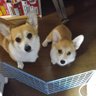 Фото профиля nana&nene