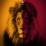Profilbild von Aslan Kral