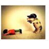 mata hari's profile picture