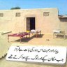Fazal e Rabi 的头像