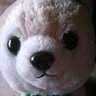 Profilbild von 桜木彩乃