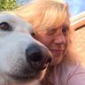 Sue Crawford profil fotoğrafı