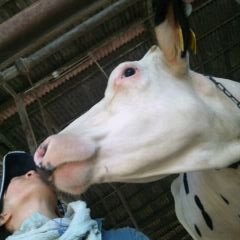 4047211Milk's profile picture