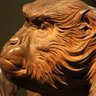 マサキング profil fotoğrafı