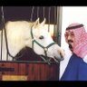 Фото профиля منى احمد الخيال