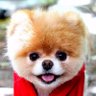 KennyYeung's profile picture