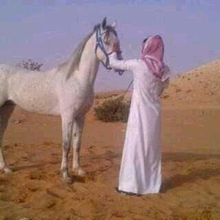 mutlaqalotaibi0's profile picture