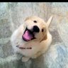 BettyB profil fotoğrafı