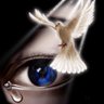 S.Alabdullah's profile picture