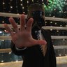 KM 的头像