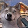 Dredogin's profile picture
