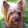Jaco's profile picture