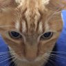 pon profil fotoğrafı