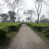 Фото профиля 50ramblings
