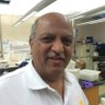 Profilbild von Chaitanya Bhatt
