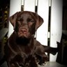 Mika M profil fotoğrafı