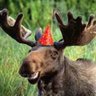 Profilbild von canucky67