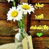 Ayman Aboseena profil fotoğrafı