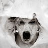 Slipknot30's profile picture