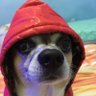 Natale's profile picture