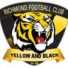 Tiger Time's profile picture
