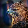 ZüLkARnEyN profil fotoğrafı