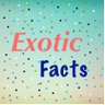 Exotic Thinking's profile picture