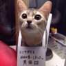 飯島ç§ç· profil fotoÄrafı