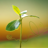 Фото профиля Agrogeek
