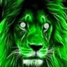 Owen's profile picture