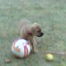 Bob Bob's profile picture